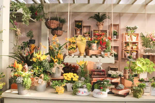 Mercado de Flores da Ceasa Campinas é destaque do Enflor - RMC Urgente