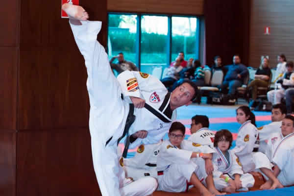 Taekwondo