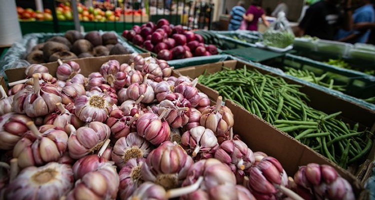 feira