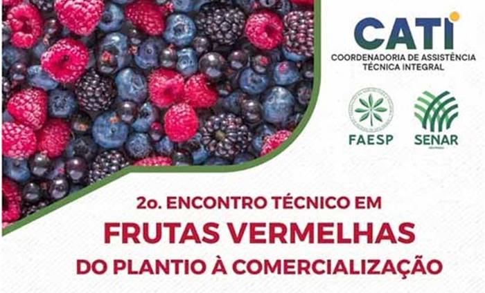 Encontro Técnico em Frutas Vermelhas