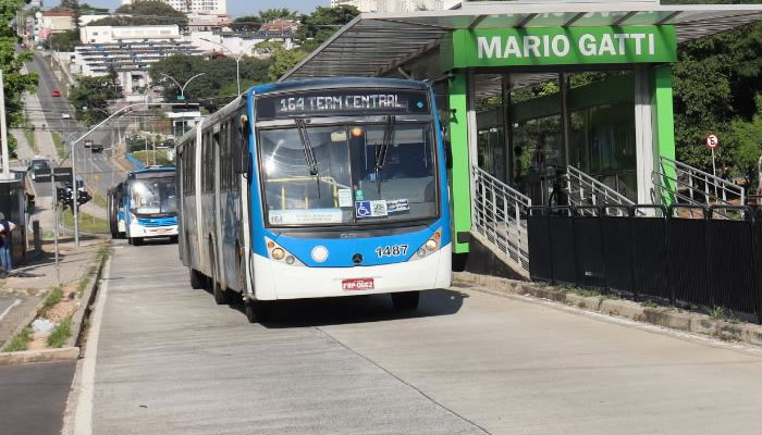 linha 164