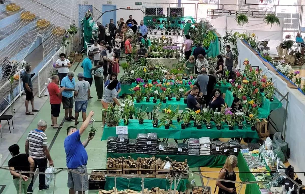 festival de orquídeas