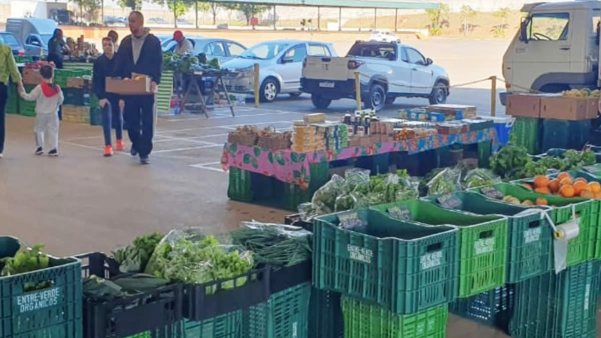 Feira orgânica