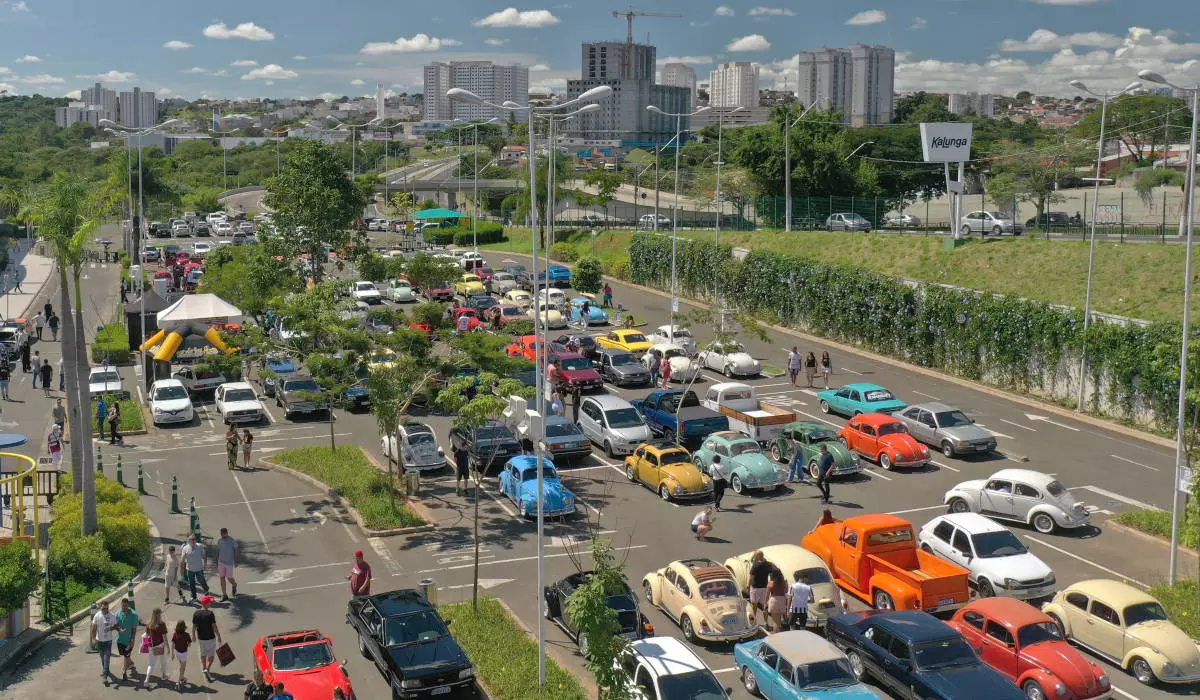 xposição de carros