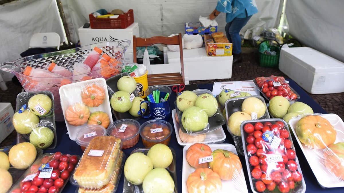 3º Festival Rural começa nesta quinta-feira e terá mais de 70 expositores rural