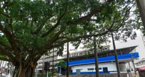 Novo Espaço Cultura inicia aulas gratuitas de ginástica e alongamento para adultos e idosos