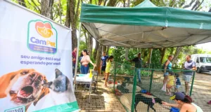 Feira de adoção de animais acontece neste domingo no Centro de Convivência