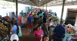 Varejão da Ceasa Campinas passa a funcionar no Mercado de Flores a partir de novembro