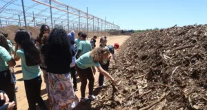 Usina Verde de Campinas promove educação ambiental e recebe alunos para conhecer processo de compostagem