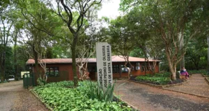 FJPO prorroga inscrições para eleição do Conselho de Administração da Mata de Santa Genebra