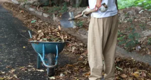 Córrego no Jardim Aerocontinental, região Sudoeste, recebe roçagem e limpeza