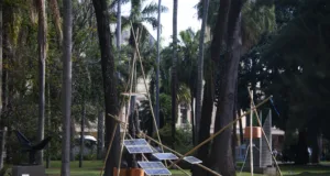Campinas recebe a 14ª Mostra 3M de Arte no Parque Taquaral