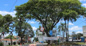 Binário de trânsito no Bela Vista começa a funcionar nesta quinta-feira, 13