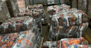 Sanasa e voluntariado da empresa doam alimentos para o Natal sem Fome