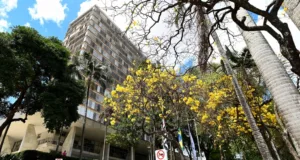 Campinas realiza 1º Seminário Municipal de Educação Permanente do SUAS