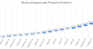Proamhor já distribuiu 200 mil mudas e segue transformando hortas em política de inclusão social