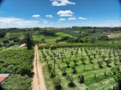 Campinas reabre edital do PSA Água para ampliar adesão de proprietários rurais