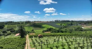 Campinas reabre edital do PSA Água para ampliar adesão de proprietários rurais