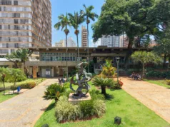 MACC celebra 60 anos debatendo as redes, os coletivos e a história das artes visuais em Campinas