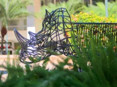 Festival Ocre 2025 amplia presença da arte urbana em Campinas e promove encontro na Sala dos Toninhos