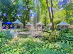 Dia D de combate ao mosquito da dengue mobiliza Campinas com teatro infantil e ações educativas