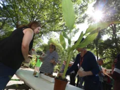 Mata de Santa Genebra abre inscrições para voluntariado de curta duração
