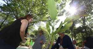 Mata de Santa Genebra abre inscrições para voluntariado de curta duração