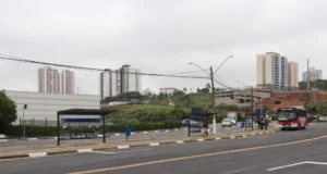 ‘Black Friday’: quatro linhas terão horários especiais e três terminais vão contar com frota reserva