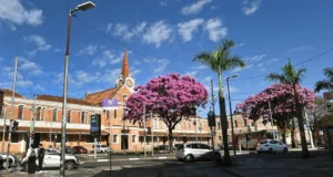 Emdec faz operação de trânsito no domingo para a Corrida Histórica de Campinas