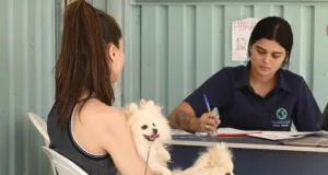 Consultório Veterinário Móvel atende neste sábado, 29, na Vila Boa Vista, sem necessidade de agendamento