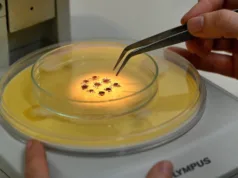 Saúde de Campinas registra óbito por febre maculosa e reforça alerta para prevenção