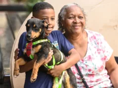 DPBEA promove feira de adoção de cães neste domingo, no Centro de Convivência