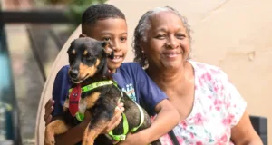 DPBEA promove feira de adoção de cães neste domingo, no Centro de Convivência