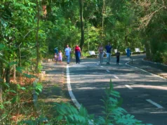Bosque dos Jequitibás estará aberto na segunda, 8, feriado da padroeira de Campinas