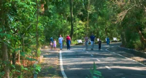 Bosque dos Jequitibás estará aberto na segunda, 8, feriado da padroeira de Campinas