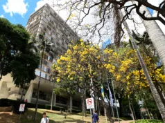 Votação online cresce 46% e renova Conselho da Juventude de Campinas