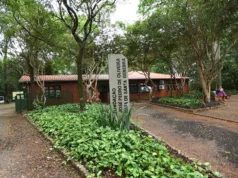 Lei moderniza a Fundação José Pedro de Oliveira e reforça proteção da Mata de Santa Genebra