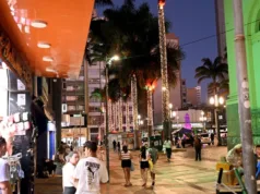 Caminhos dos Sonhos: Campinas recebe iluminação especial de Natal em cinco pontos da cidade