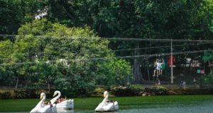 Campinas reabre parques nesta sexta-feira, 12, após redução no acumulado de chuvas