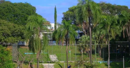 Férias em Campinas: Descubra Parques, Piscinas e Arenas Esportivas para se Divertir