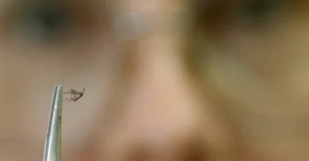 Saúde de Campinas lança curso sobre manejo clínico de dengue e outras arboviroses para profissionais da rede municipal