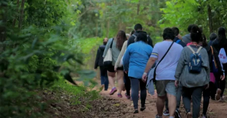 Você sabia? Mata de Santa Genebra oferece visitas monitoradas com guias credenciados