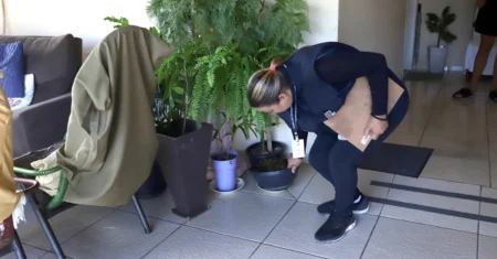 Campinas divulga 5º Alerta Arboviroses do ano e intensifica ações em 27 bairros