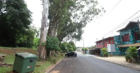 Substituição de eucaliptos provoca interdição de trânsito em Barão Geraldo