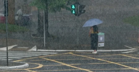 Saúde reforça orientações de prevenção à leptospirose e hepatite A nos períodos chuvosos