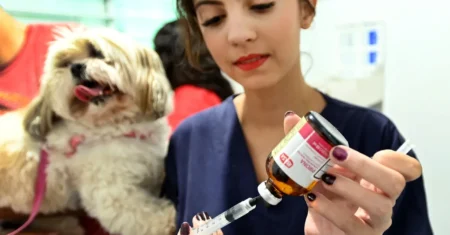 Consultório Veterinário Móvel inicia atendimento na Região Noroeste nesta quinta-feira