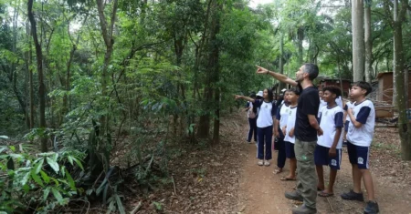 Fundação José Pedro de Oliveira abre inscrição para visitas monitoradas na Mata de Santa Genebra