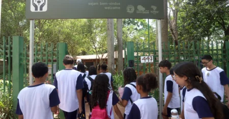 Fundação José Pedro de Oliveira abre inscrições para visitas monitoradas na Mata de Santa Genebra