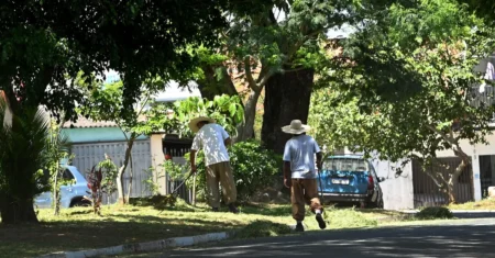 Mutirão mobiliza 700 trabalhadores para limpeza de 15 bairros em Campinas 