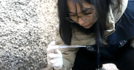 7º Alerta Arboviroses intensifica ações contra a dengue em 17 bairros durante a semana